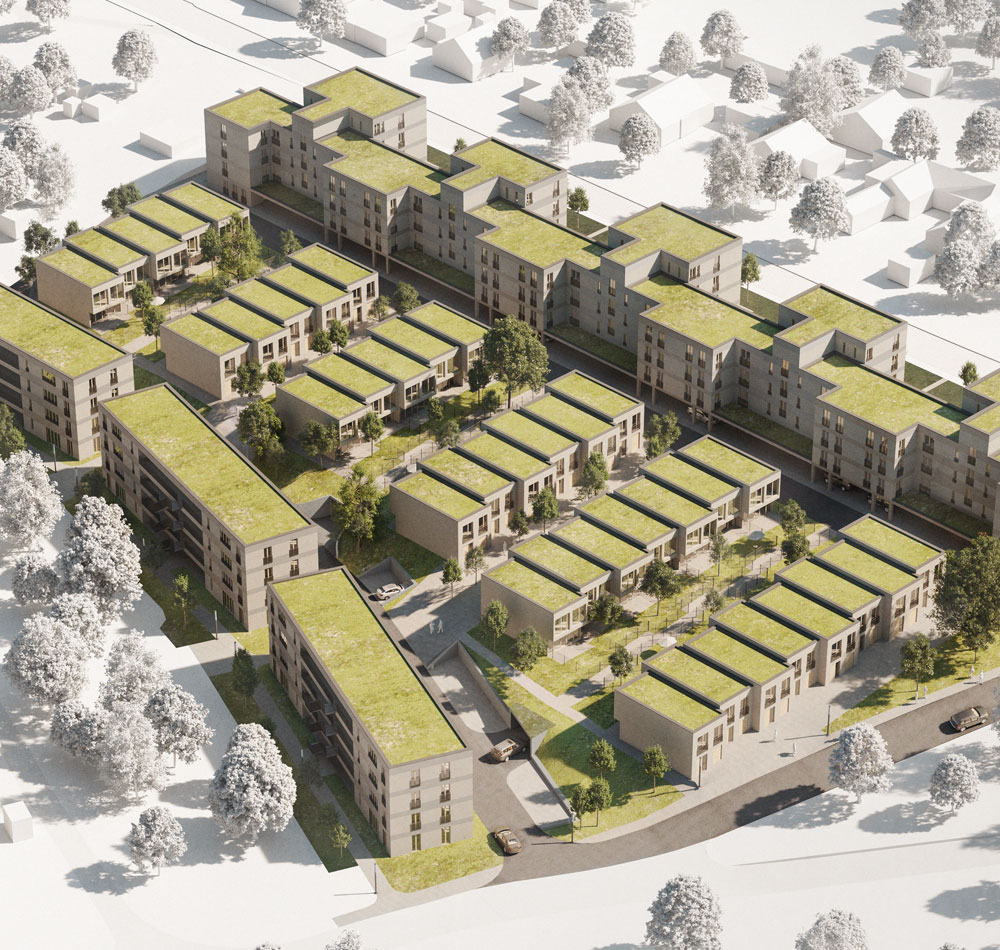 GRÜNE MITTE JENZIGBLICK